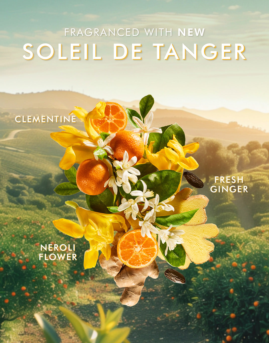 Hand Cream Soleil de Tanger - Image 4